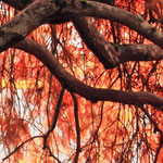 短信免费轰炸网页