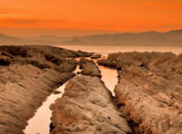 短信免费轰炸网页